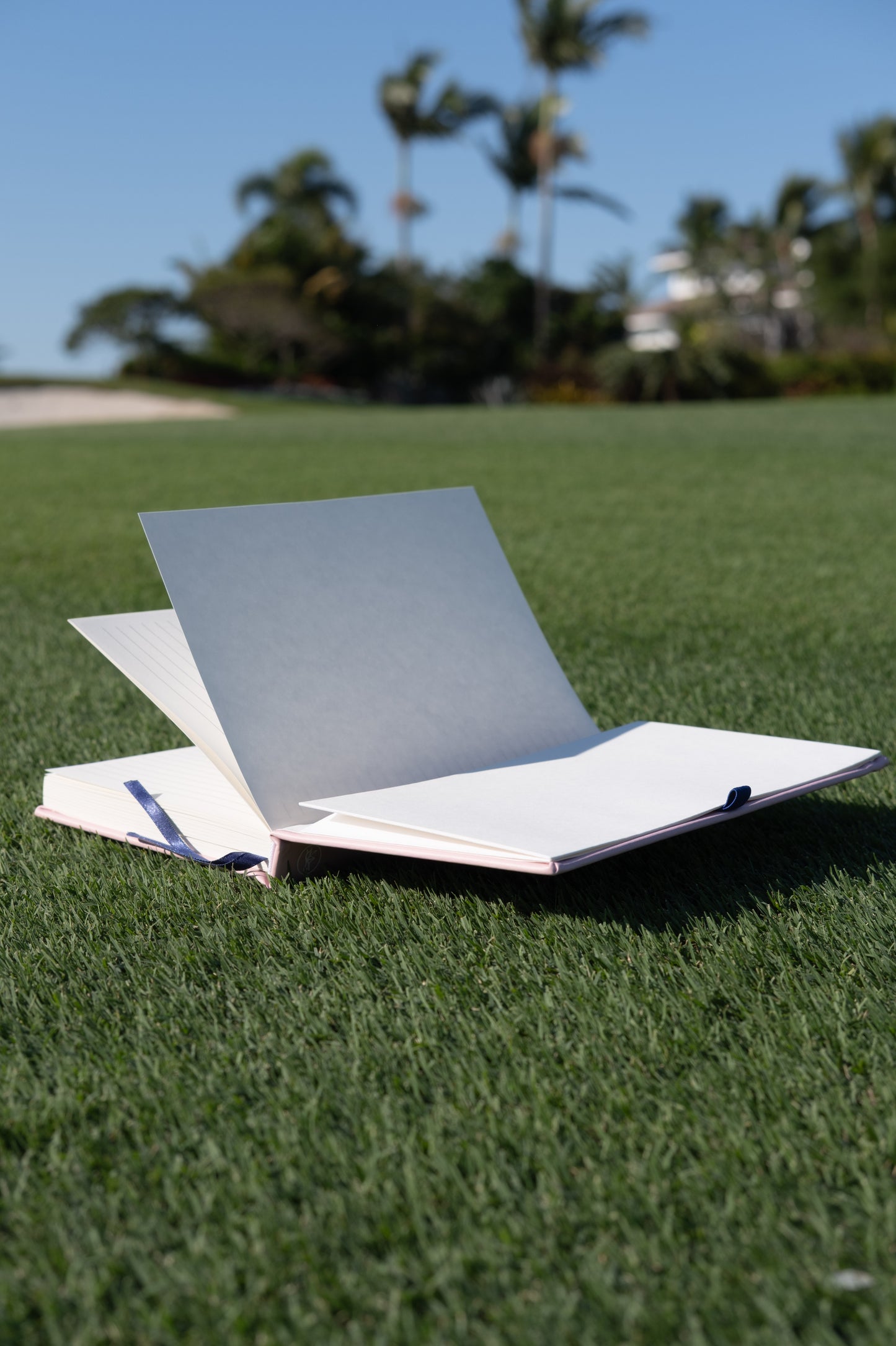 Planner Diario - Rosado