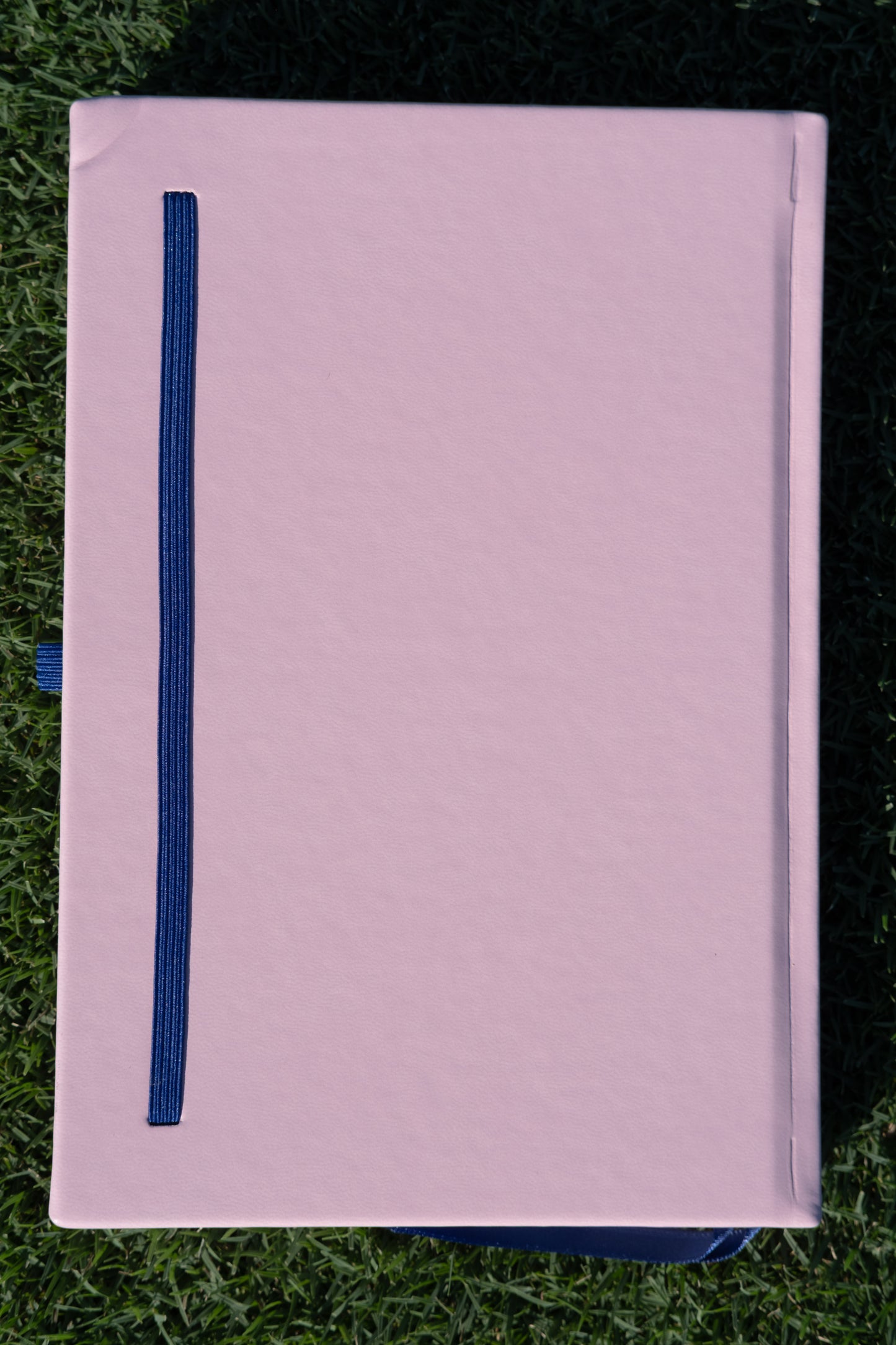 Planner Diario - Rosado