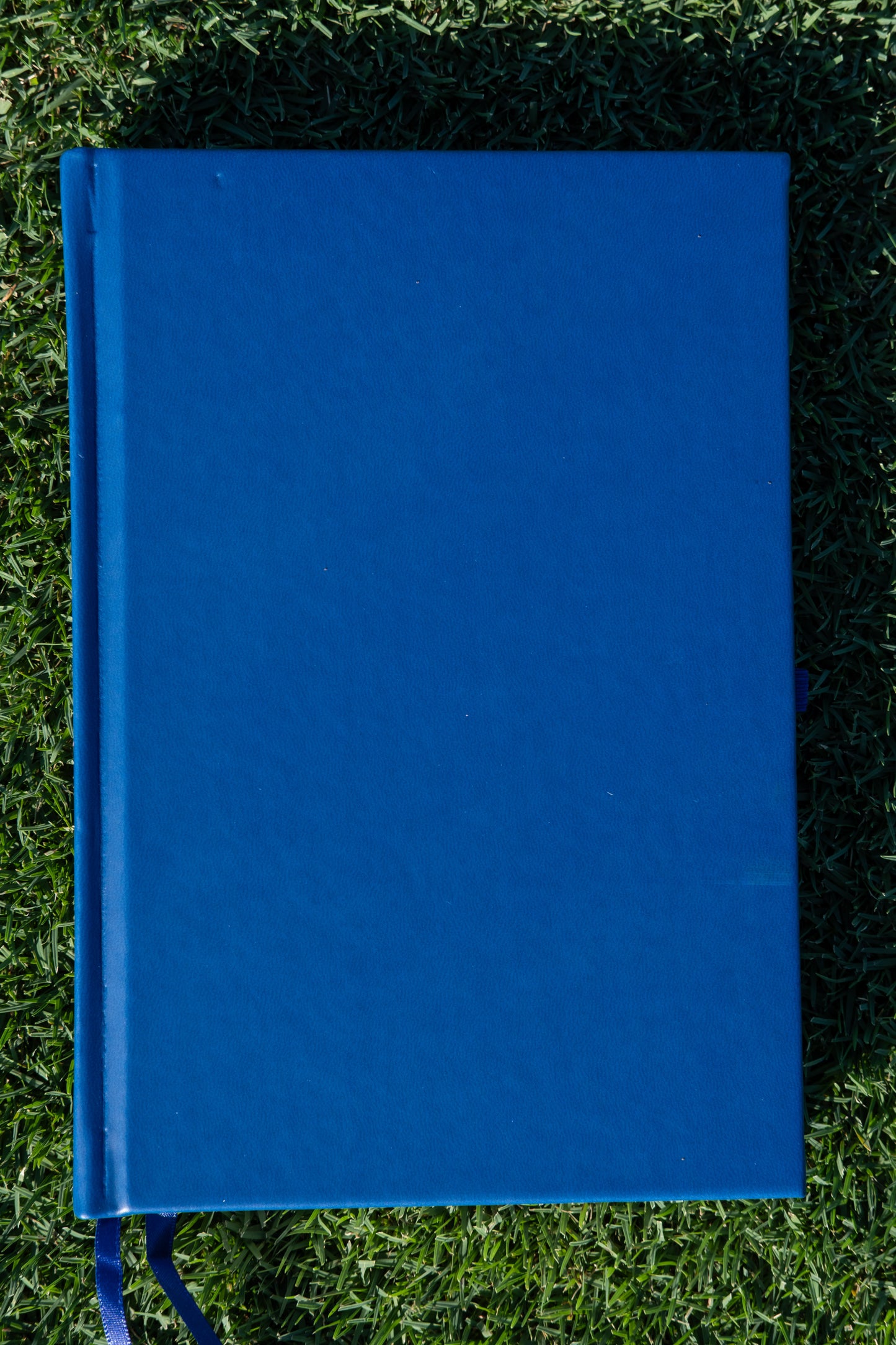 Planner Diario - Marino
