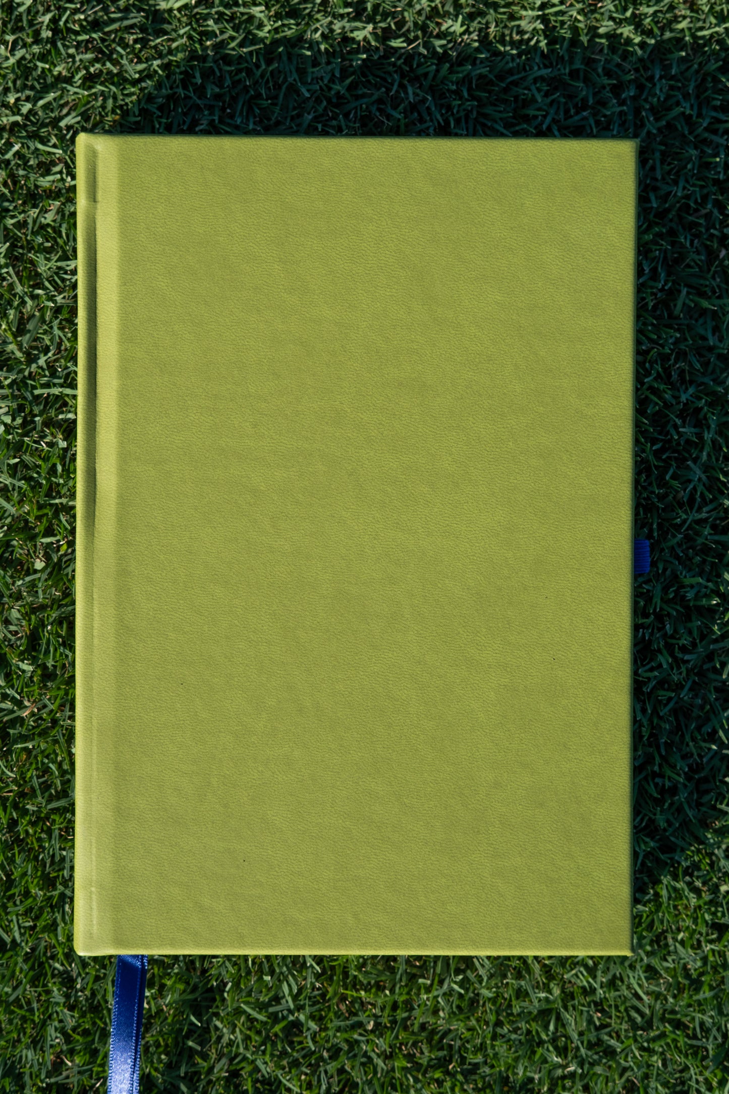 Planner Diario - Verde