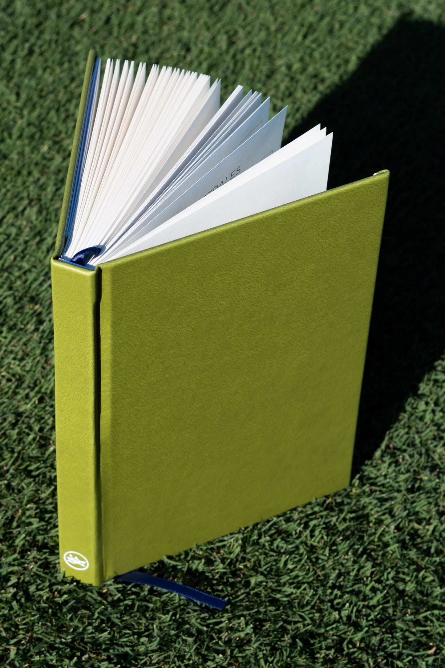 Planner Diario - Verde