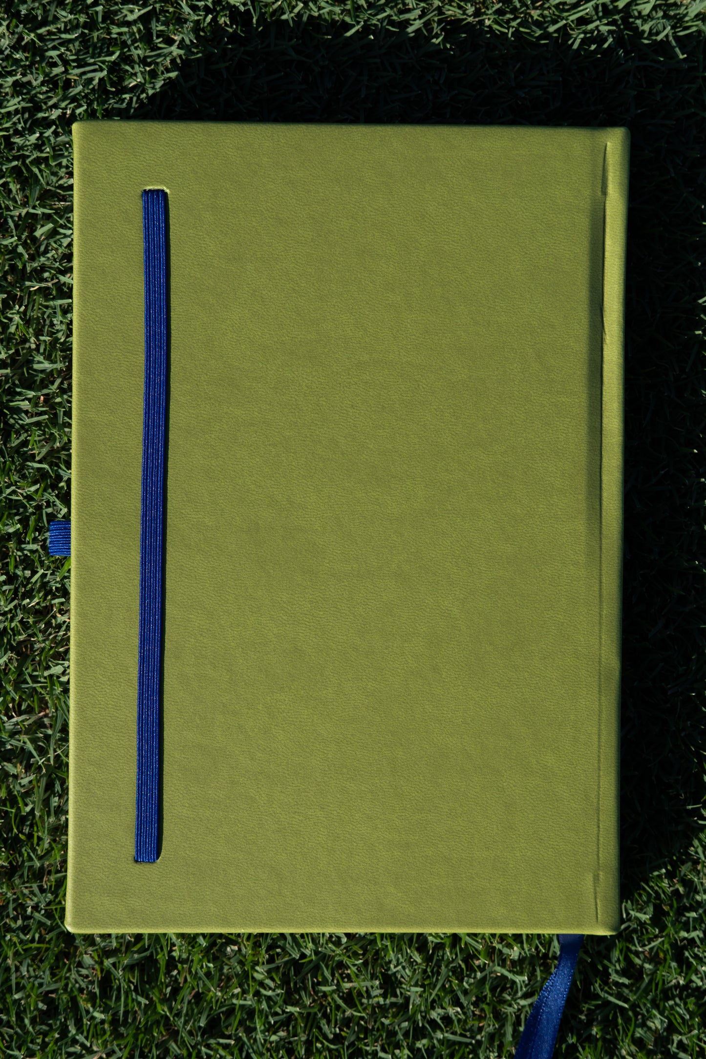 Planner Diario - Verde