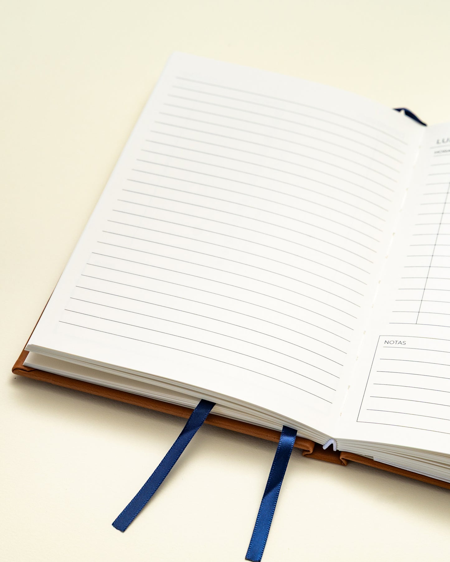 Planner Diario - Canela