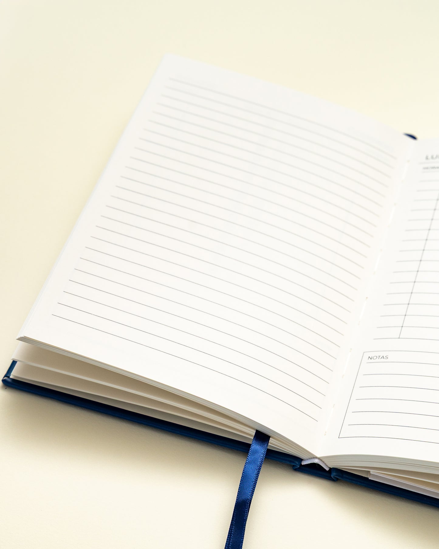 Planner Diario - Marino