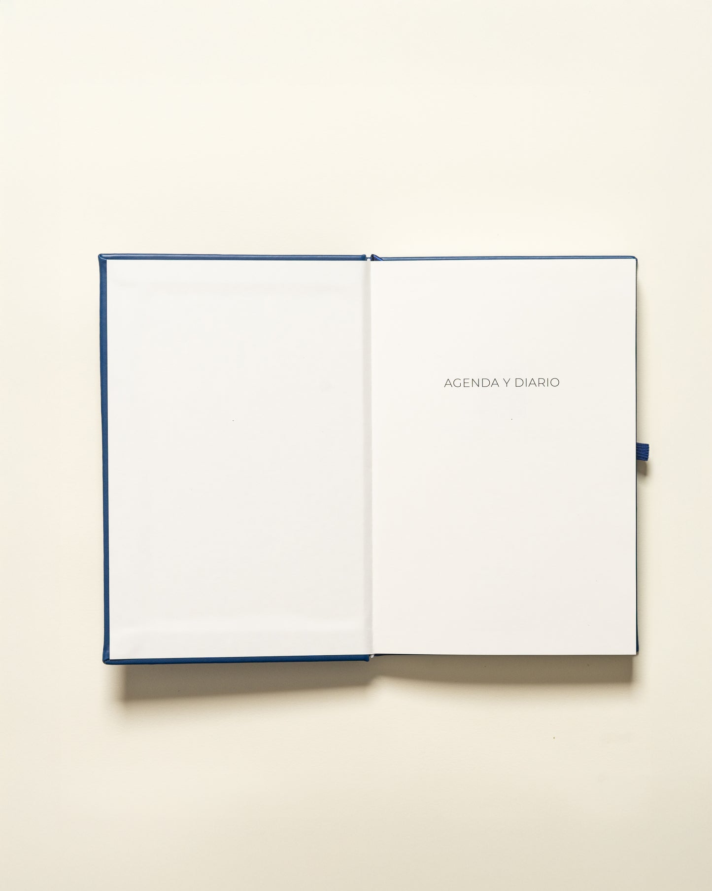 Planner Diario - Rosado