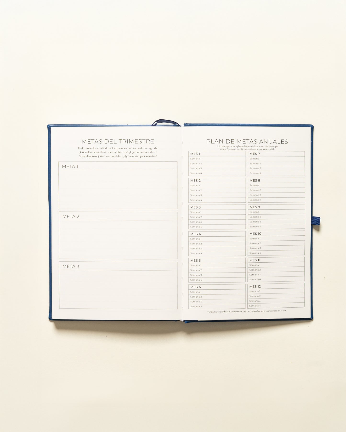 Planner Diario - Rosado