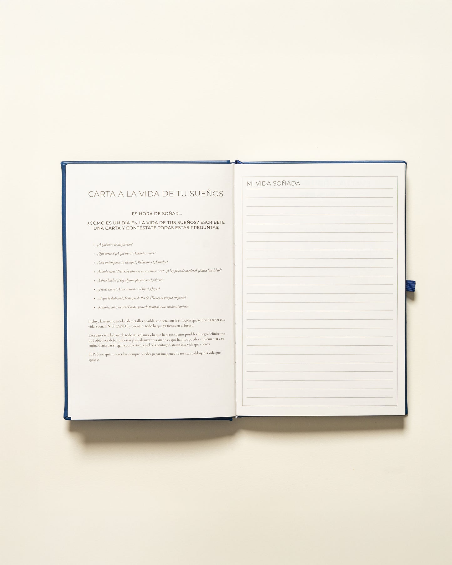 Planner Diario - Rosado