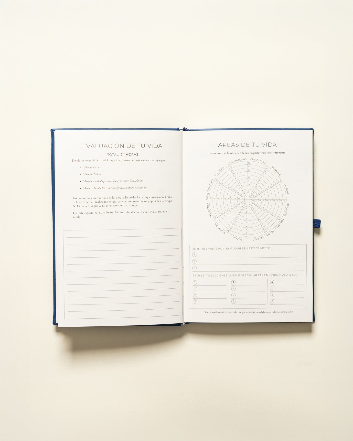 Planner Diario - Rosado