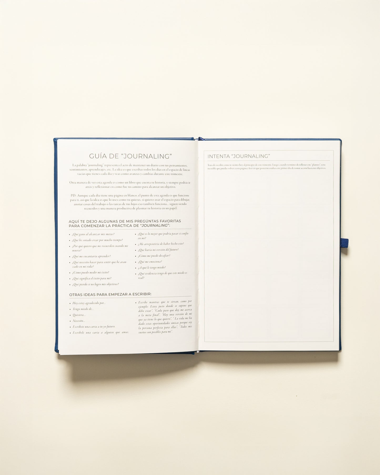 Planner Diario - Rosado
