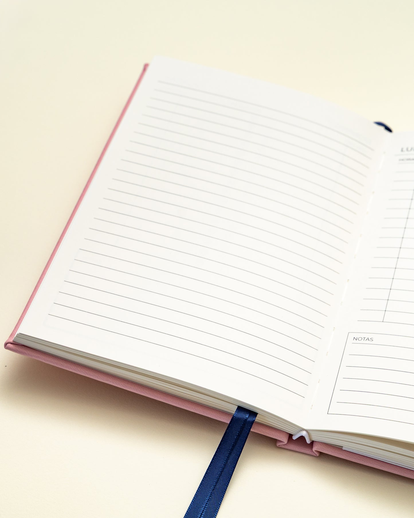 Planner Diario - Rosado