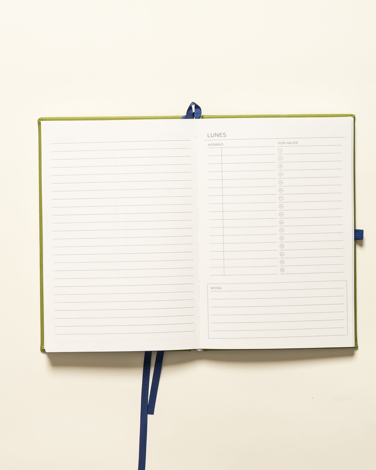 Planner Diario - Verde