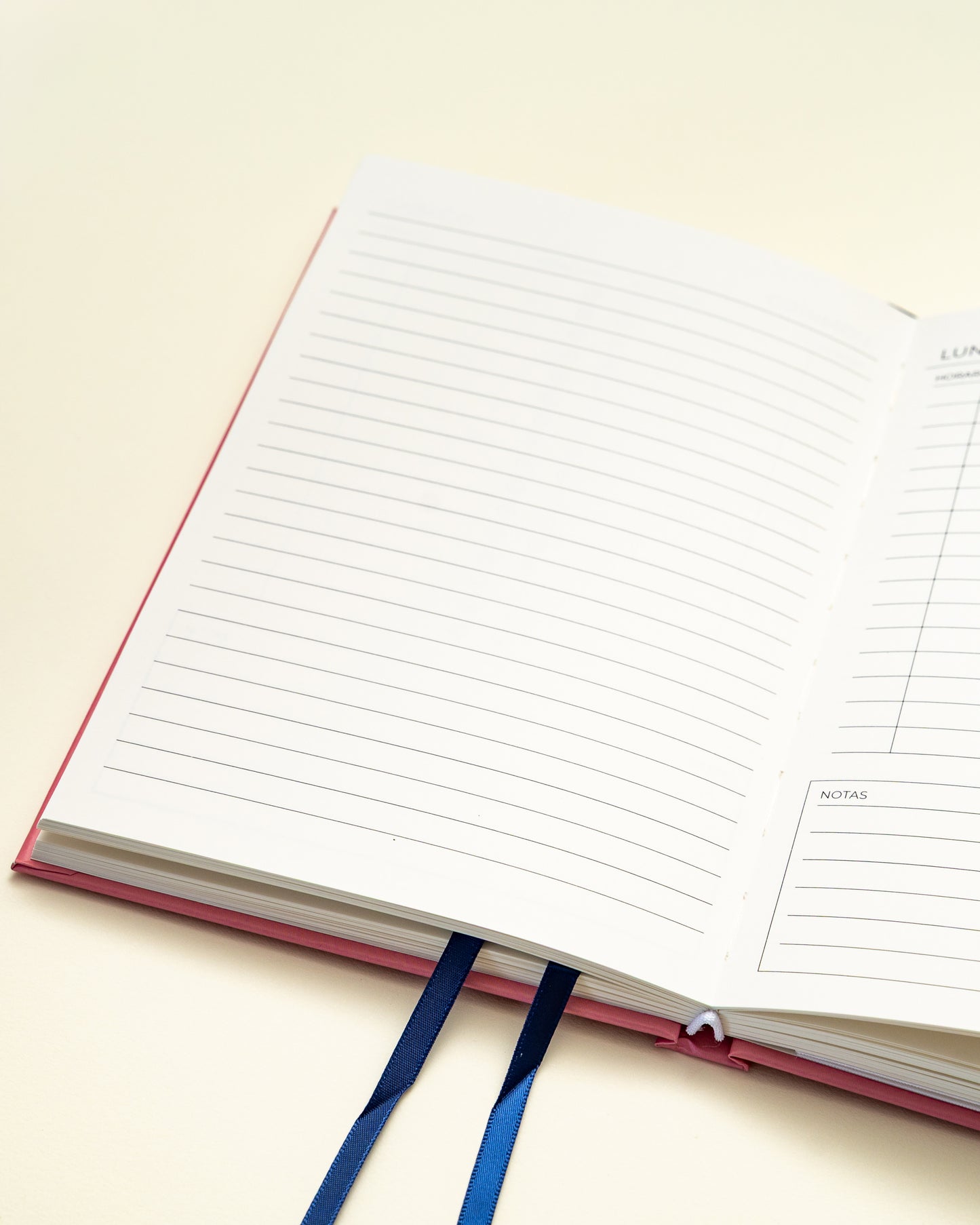 Planner Diario - 2025 (Edición Limitada)