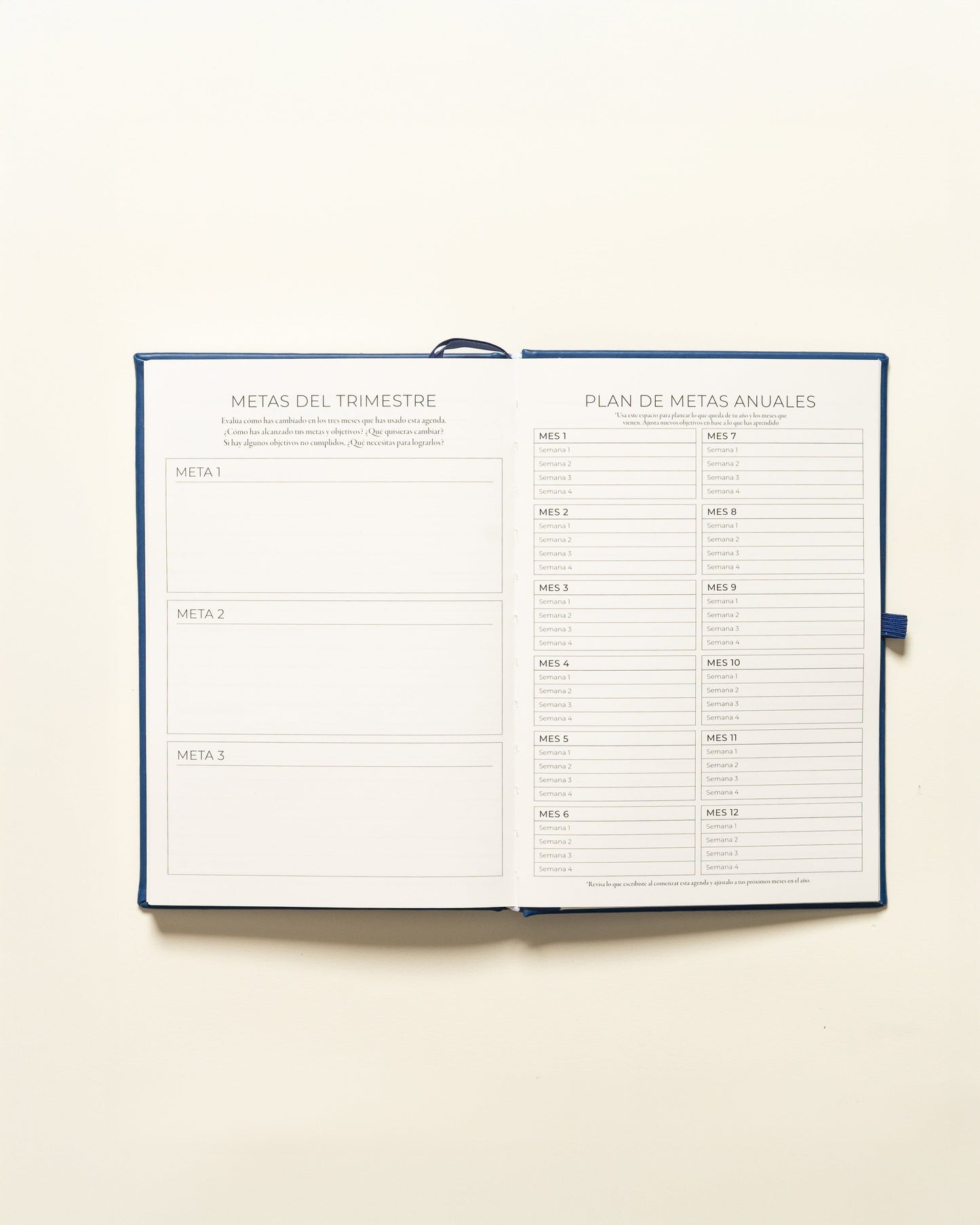 Undated Planner Spanish (3 Months)