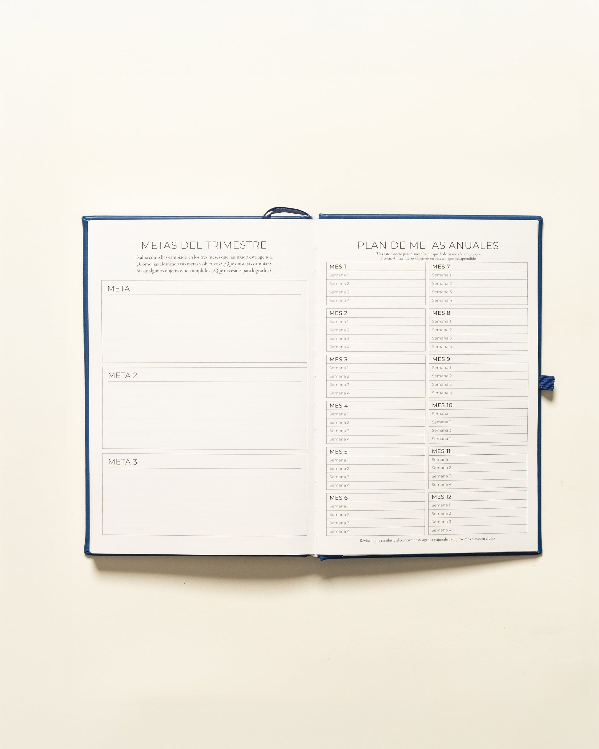 Undated Planner Spanish (3 Months)