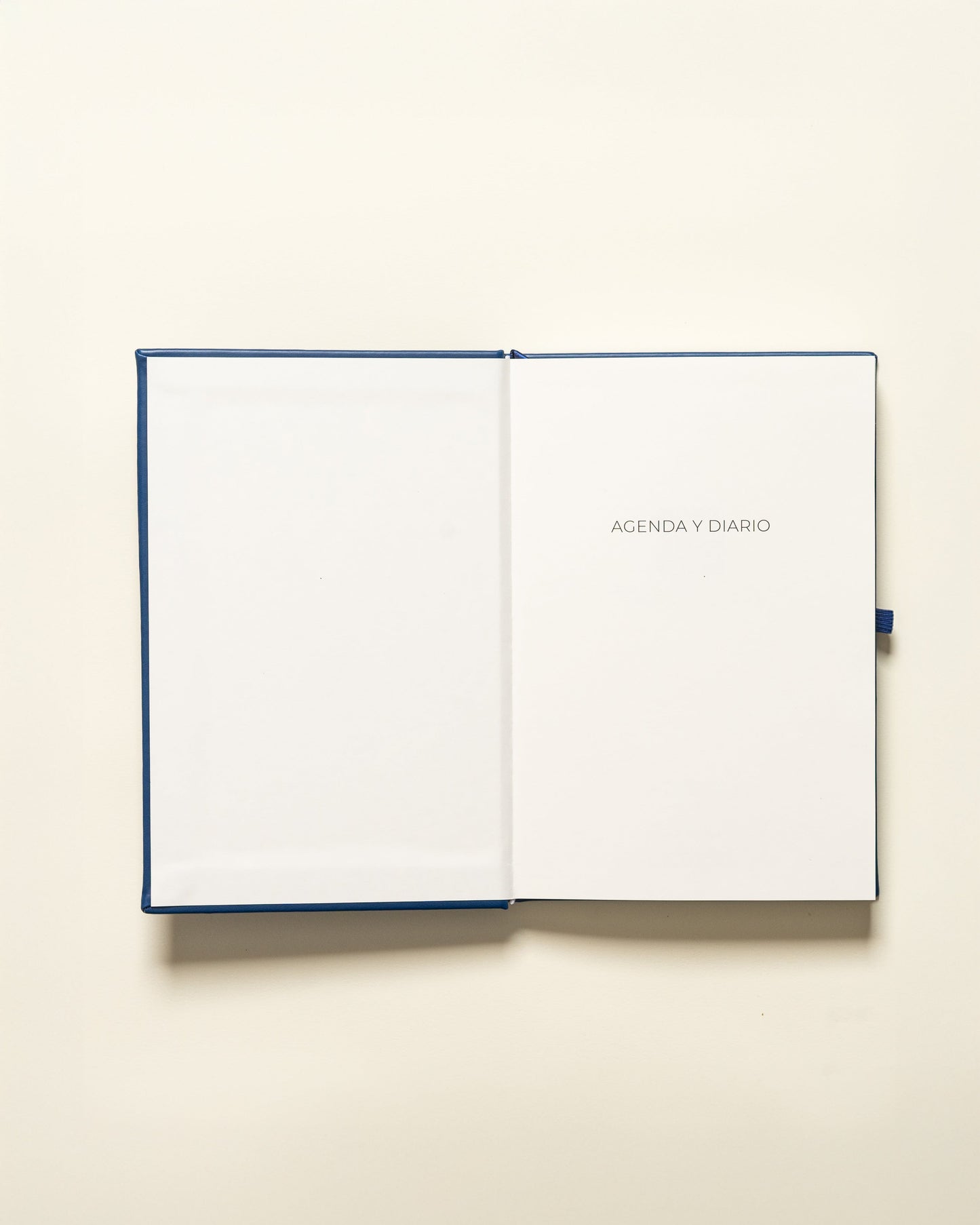 Undated Planner Spanish (3 Months)