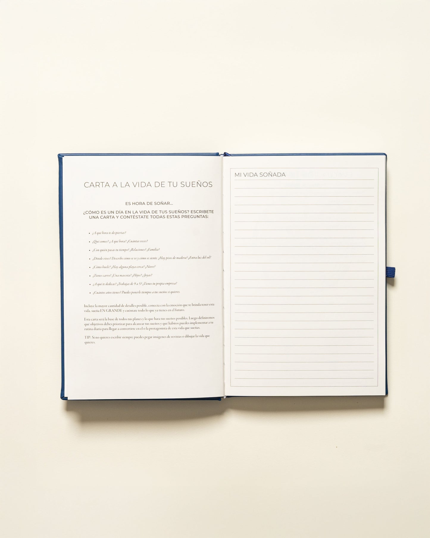 Undated Planner Spanish (3 Months)