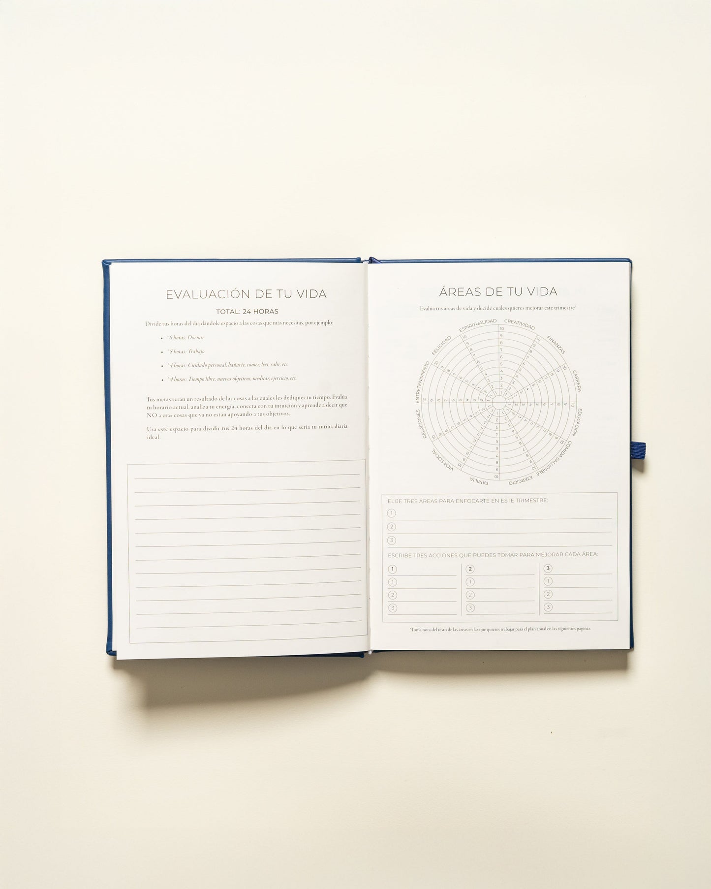 Undated Planner Spanish (3 Months)