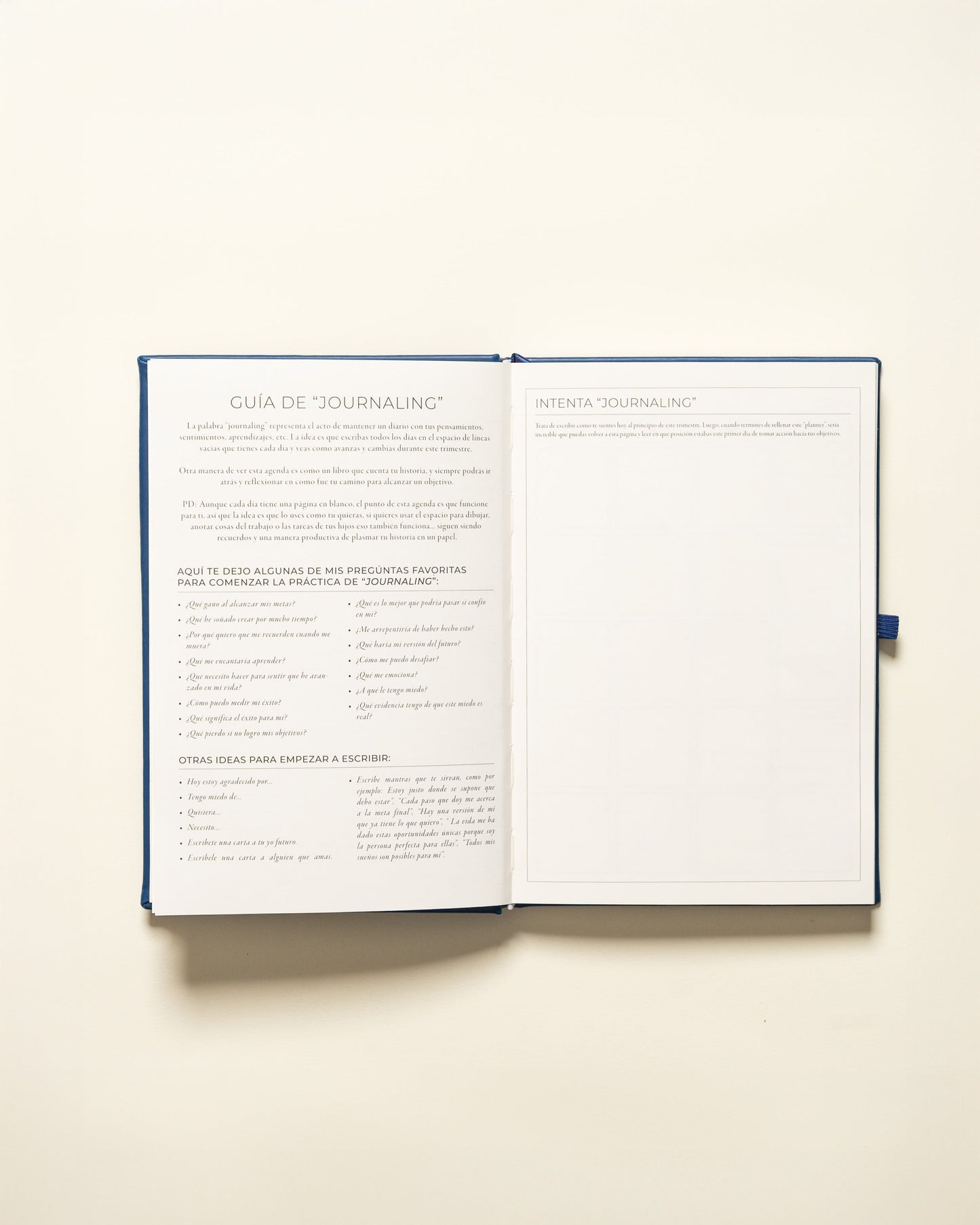 Undated Planner Spanish (3 Months)