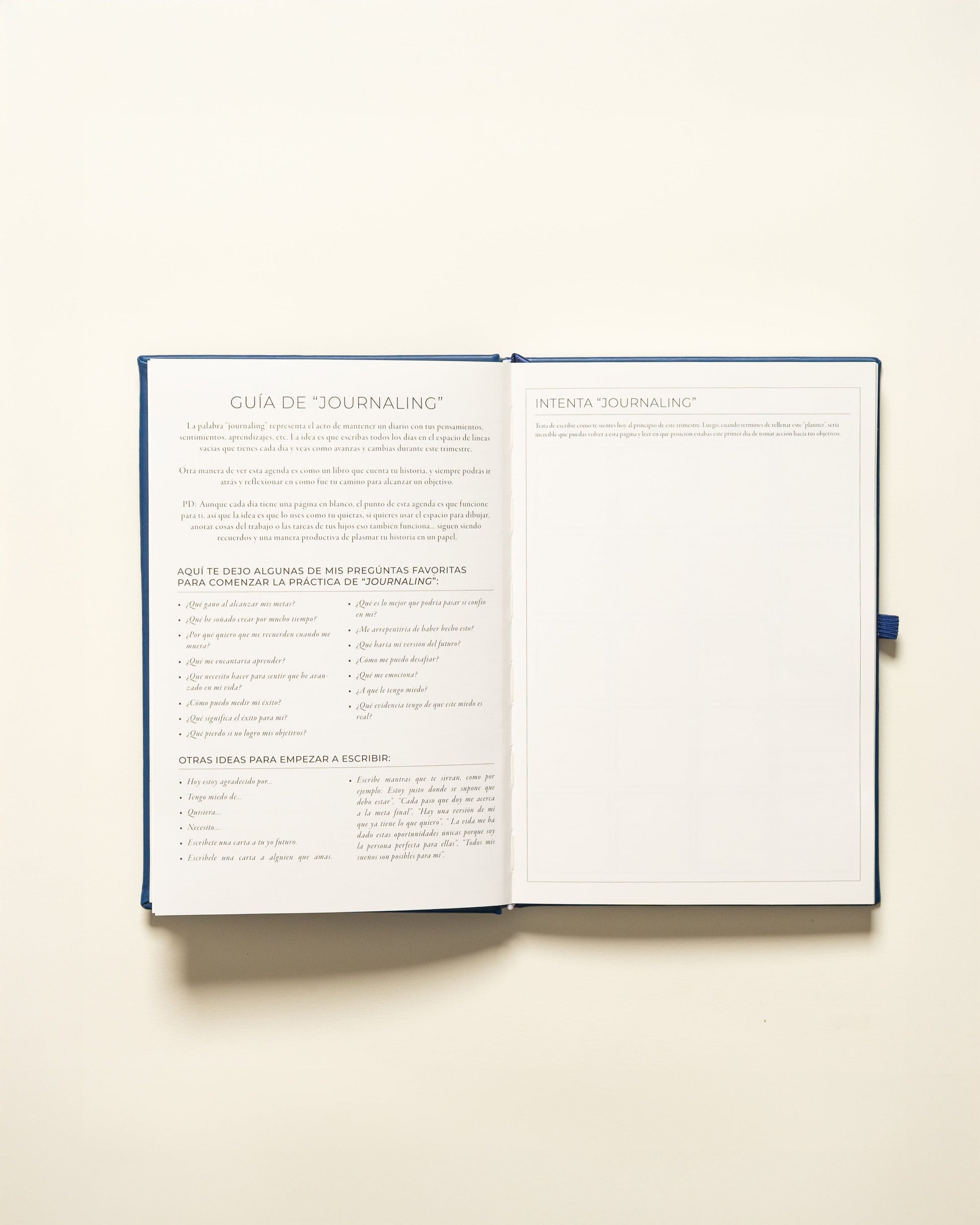 Undated Planner Spanish (3 Months)
