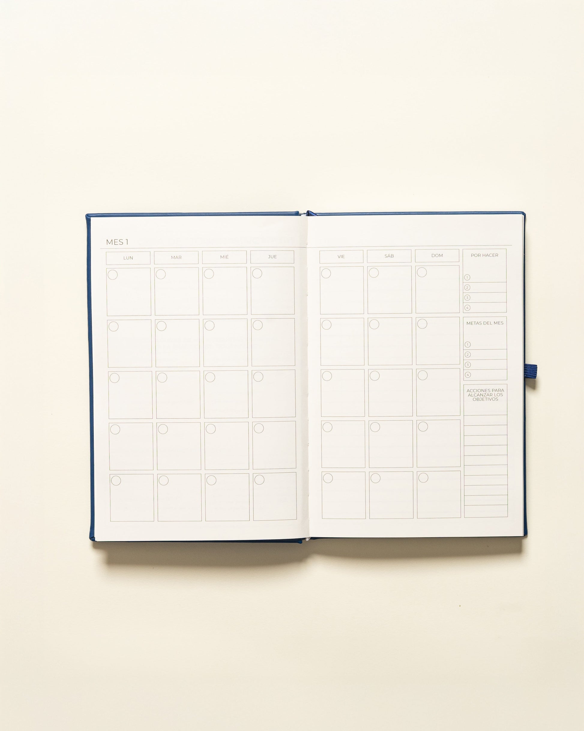 Undated Planner Spanish (3 Months)